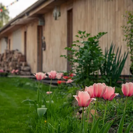 Holiday home Prirodni Dum V Duchu Velryby V Polabi
